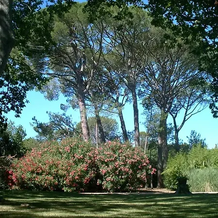 Manoir A Avec Piscine Privee * Bessan